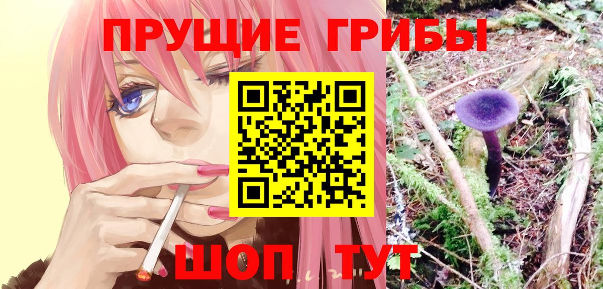 купить наркотики цена  Галлюциногенные грибы мицелий  Вход с VPN  Алушта 